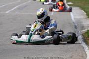 20110501_ales_agnus (2500)
